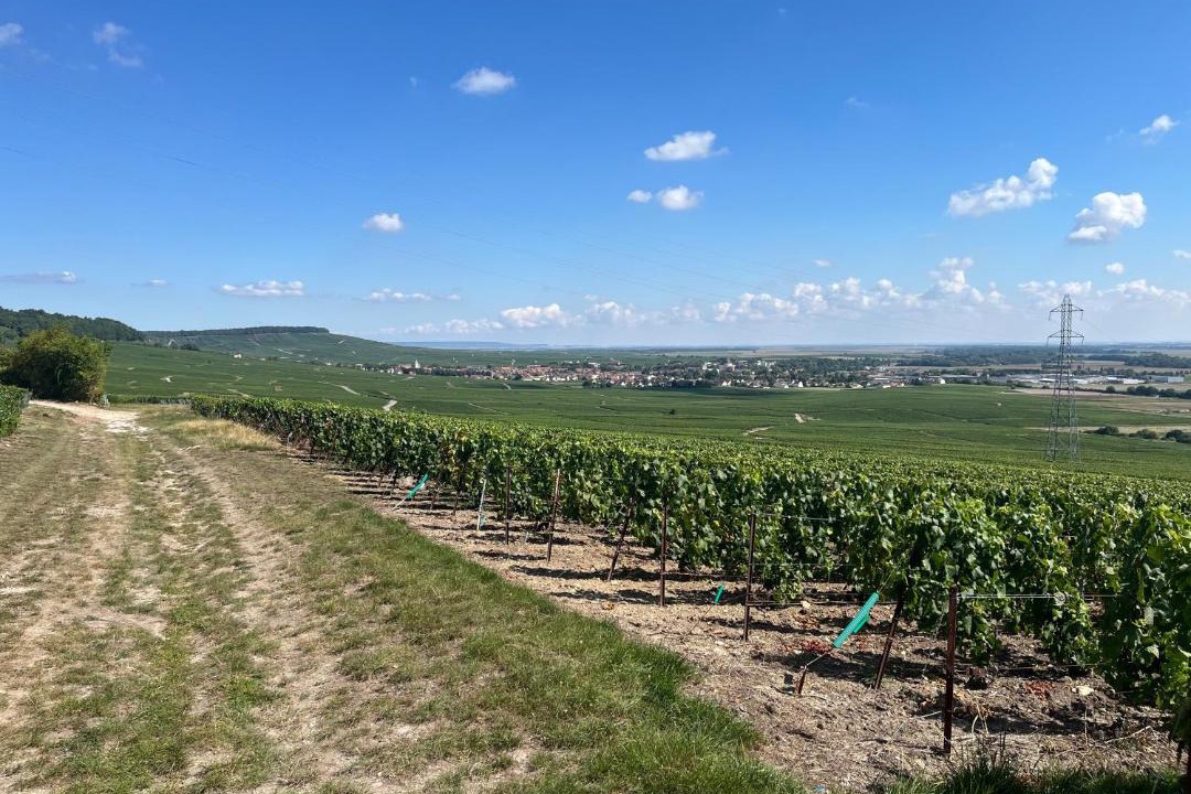 Photo of Others in Bergeres-les-Vertus