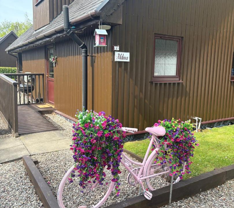 Photo of Others in Tillicoultry