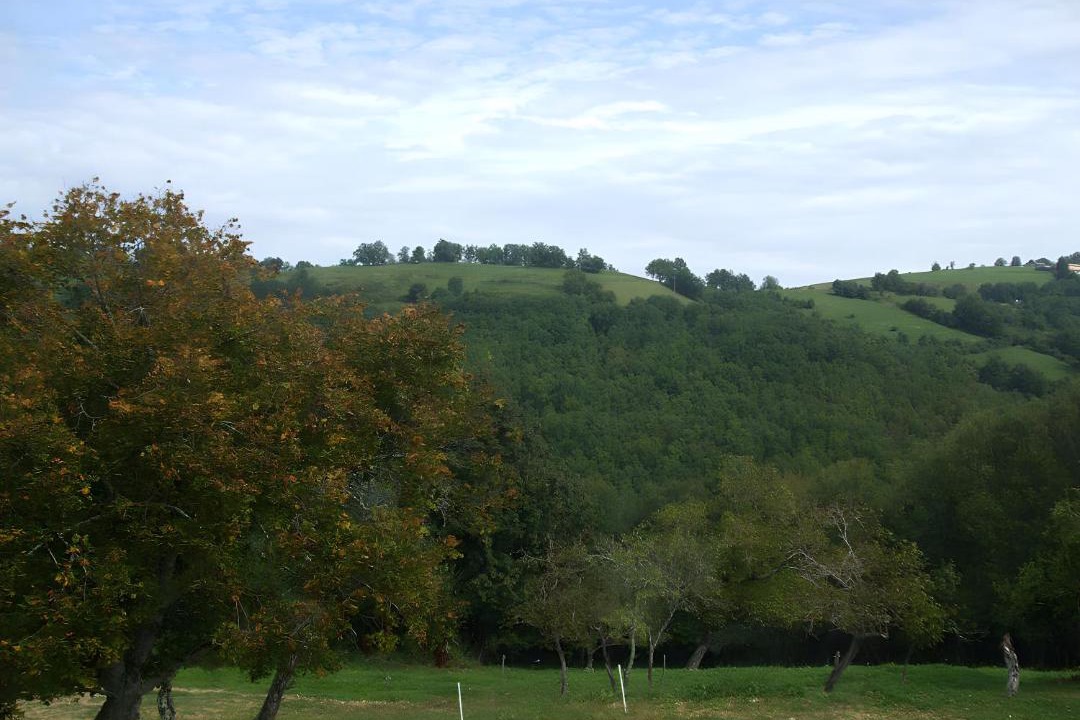 Photo of Others in Bagert