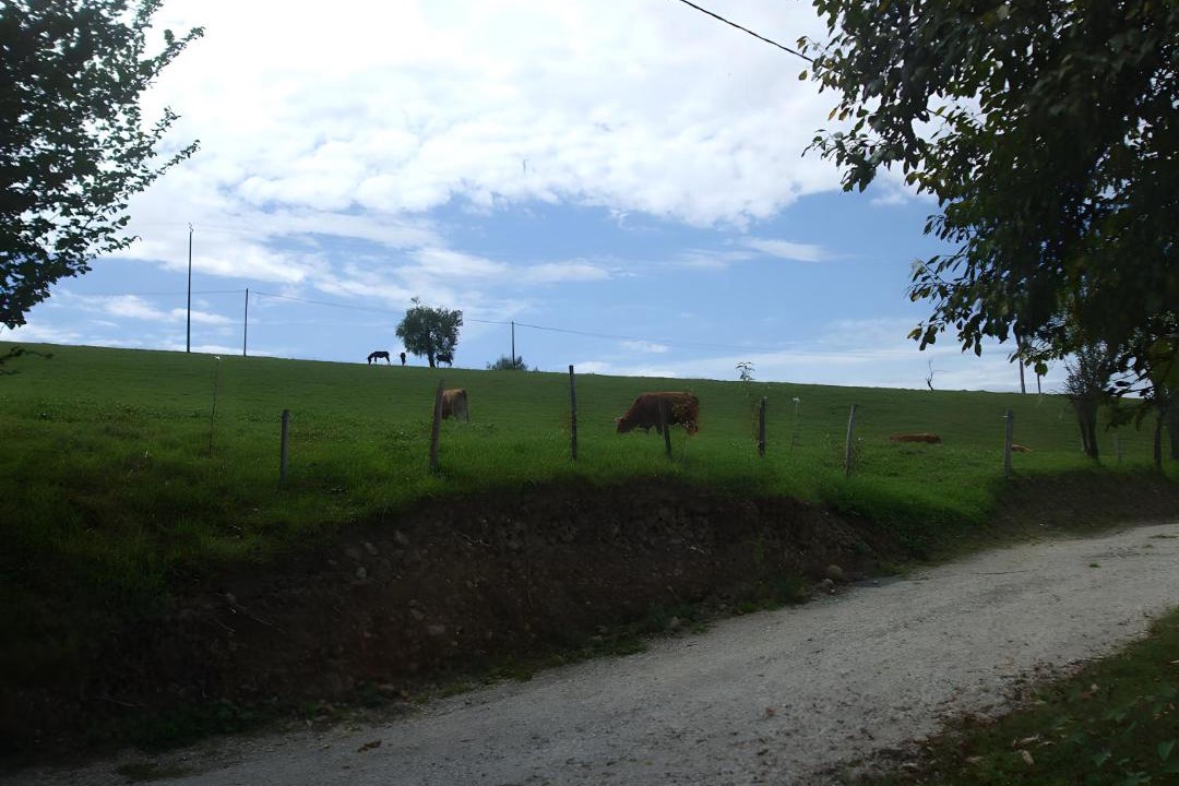 Photo of Others in Bagert