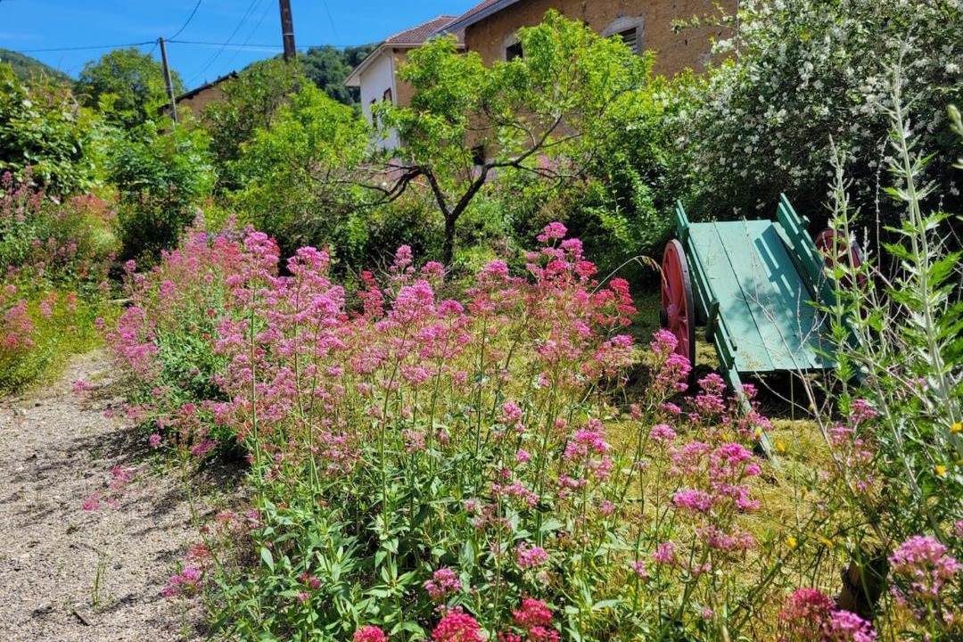 Photo of Outdoor in Camembert