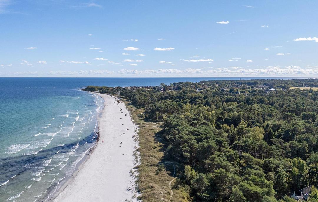 Photo of Others in Bedegaard