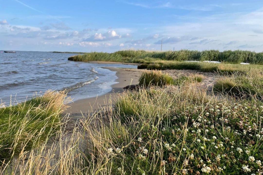 Photo of Others in Thorsminde