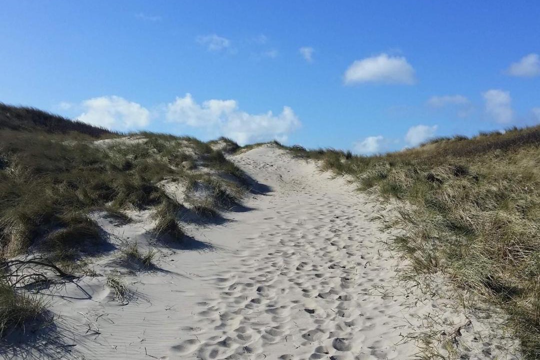 Photo of Others in Lodbjerg Hede