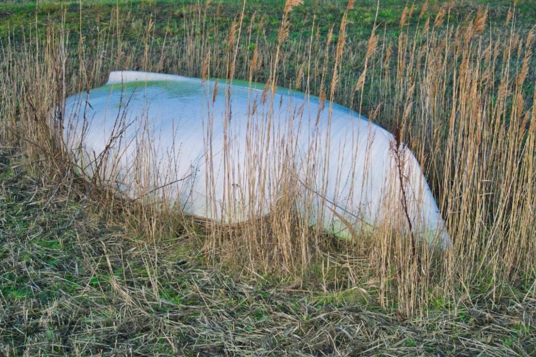 Photo of Others in Femmøller
