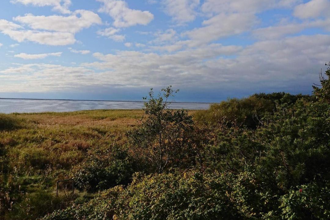 Photo of Others in Skjern