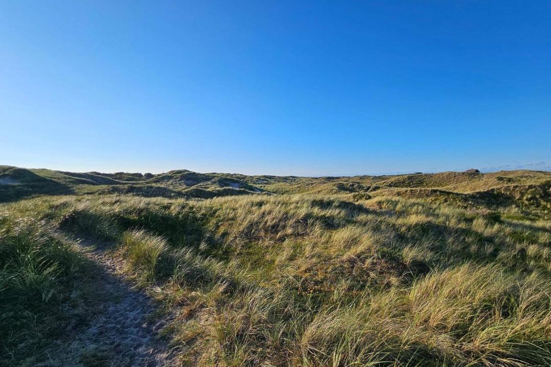 Photo of Others in Lodbjerg Hede
