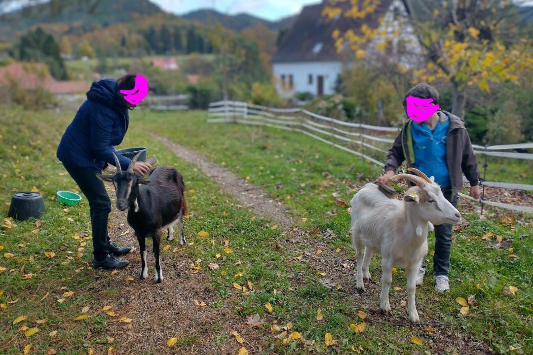Photo of Others in Obersteinbach