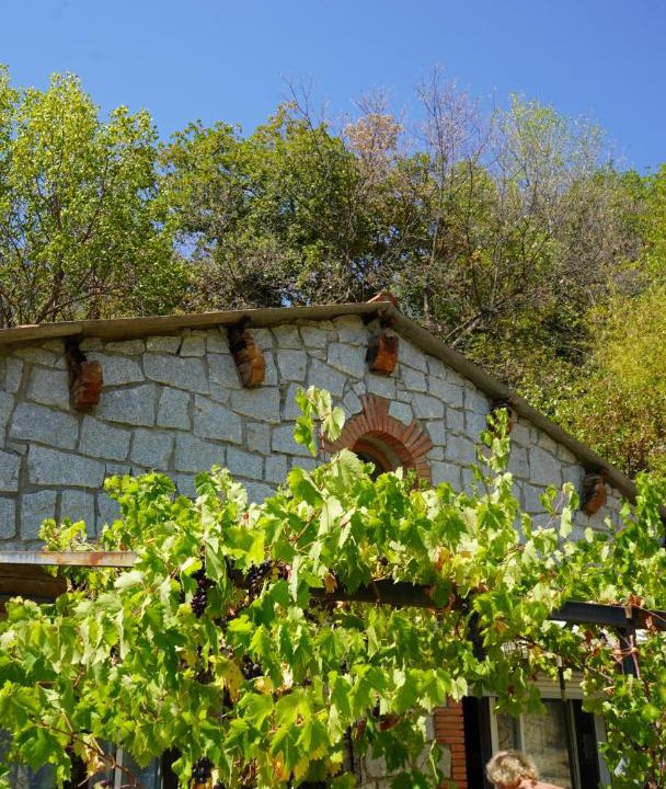 Photo of Others in Mosset