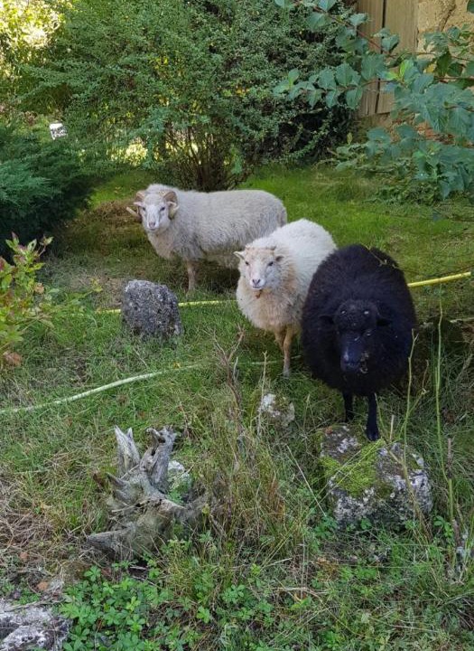 Photo of Others in Sistels