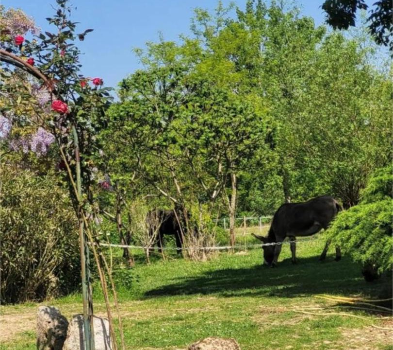 Photo of Others in Sistels