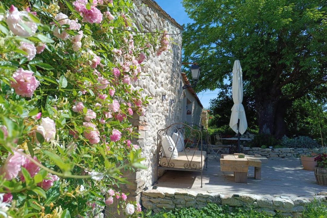 Photo of Others in Mane