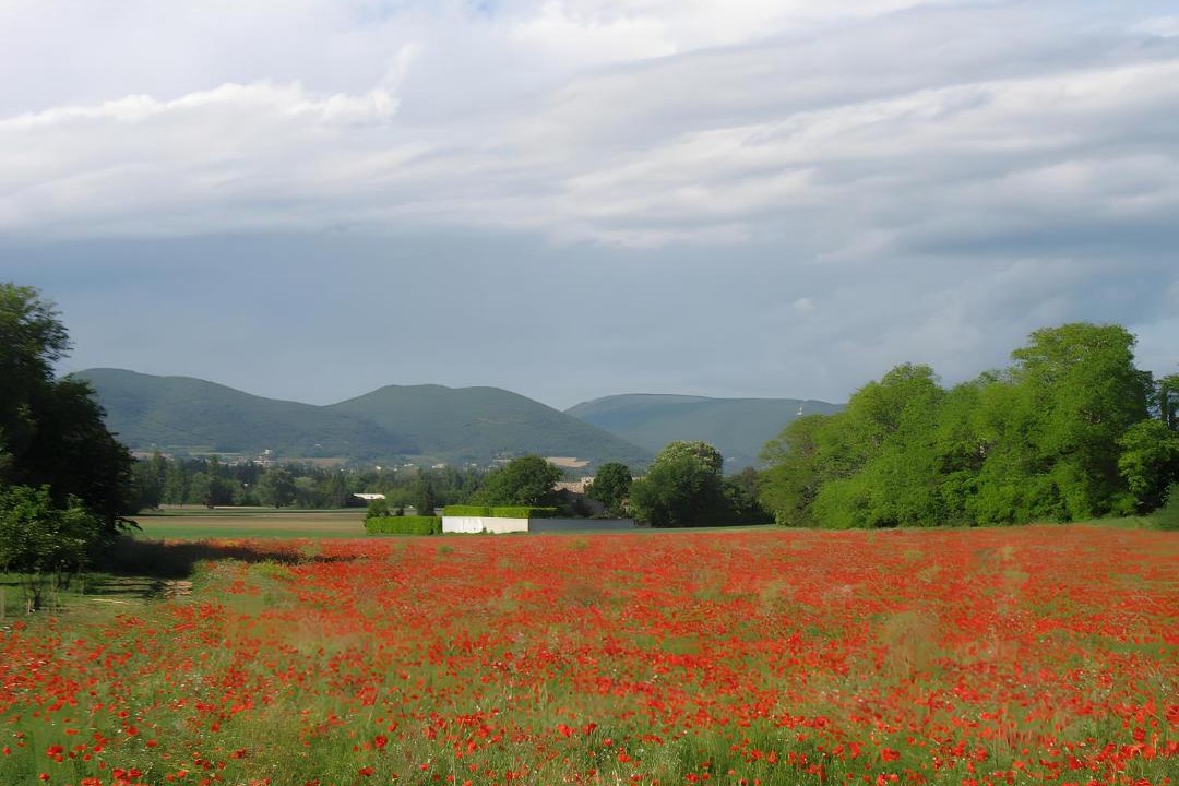 Photo of Others in Sauzet