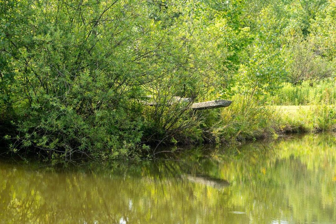 Photo of Others in Andes