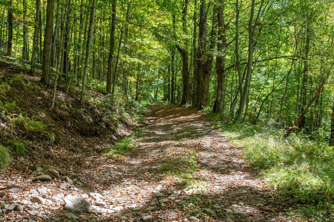 Photo of Others in Andes