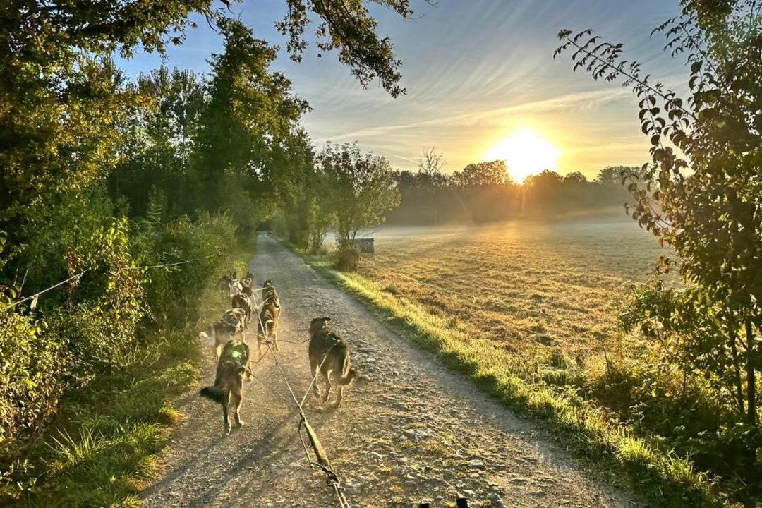 Photo of Others in Echire