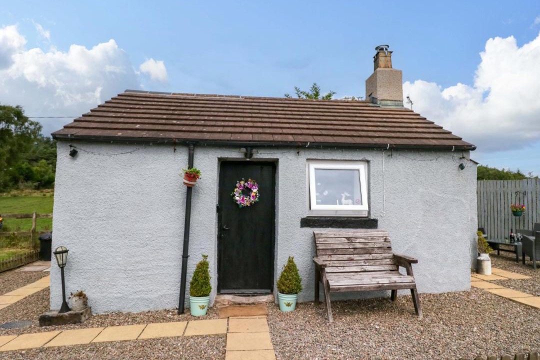 Photo of Others in Whitehaven