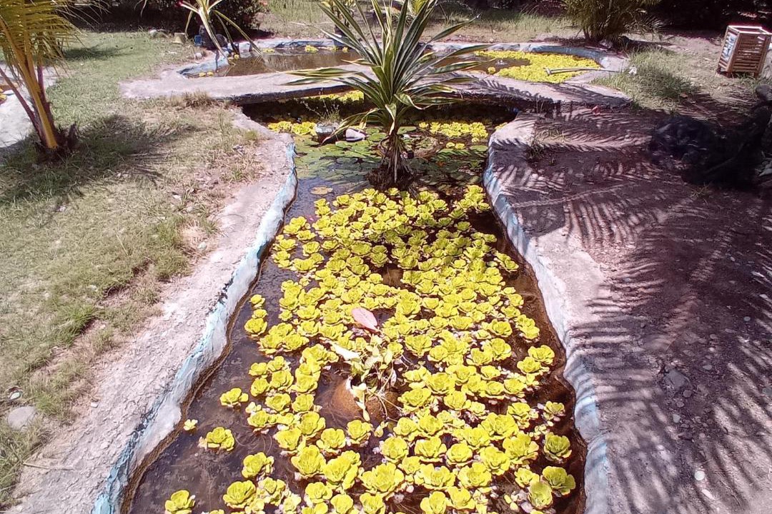 Photo of Others in Maumere