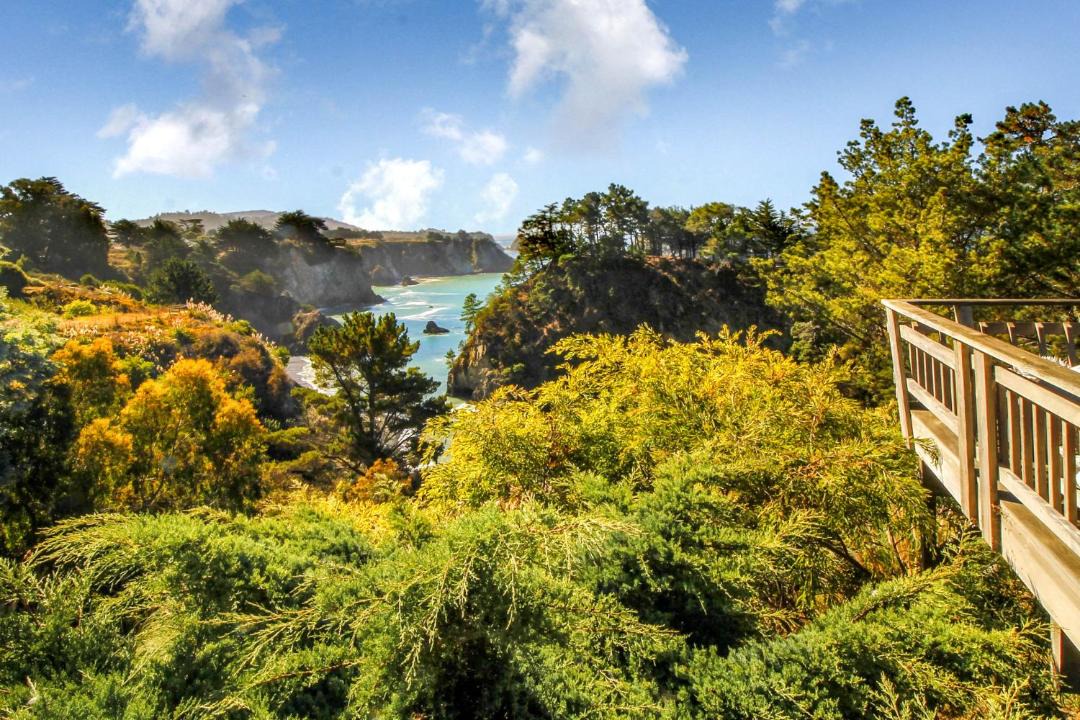 Photo of Others in Elk