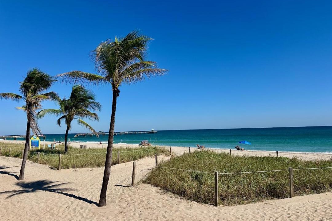 Photo of Others in East Fort Lauderdale