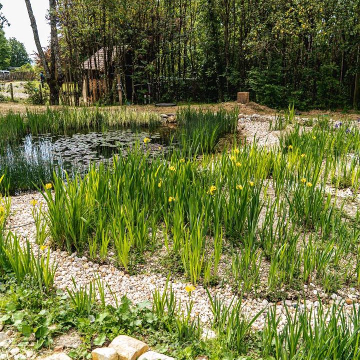 Photo of Others in Varen