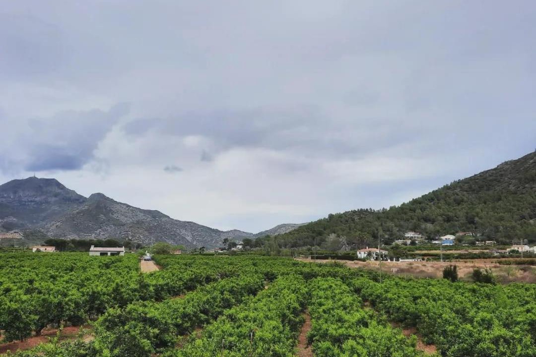 Photo of Others in Gandia