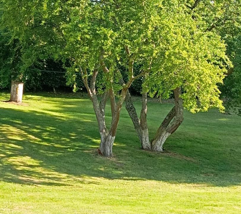 Photo of Others in Quesnoy-le-Montant