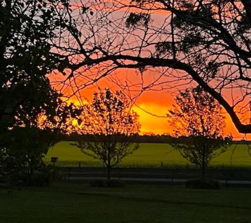 Photo of Others in Cardigan