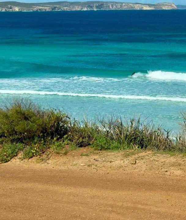 Photo of Others in Newland