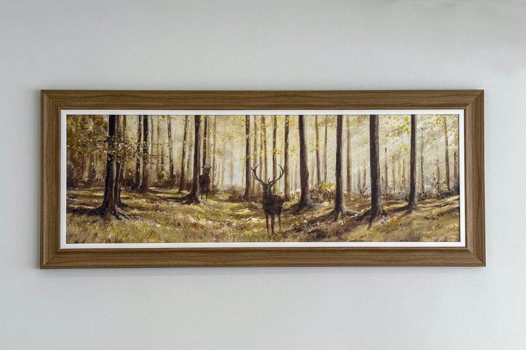 Photo of Others in Elgin