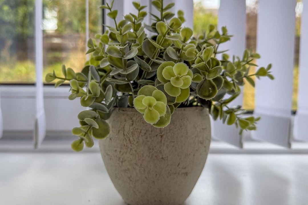 Photo of Others in Elgin