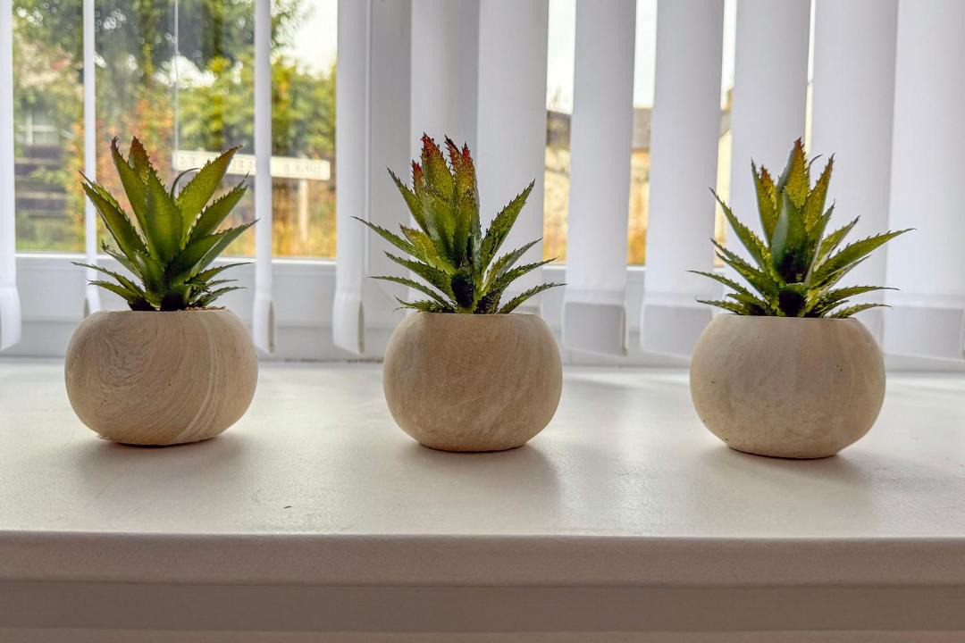 Photo of Others in Elgin