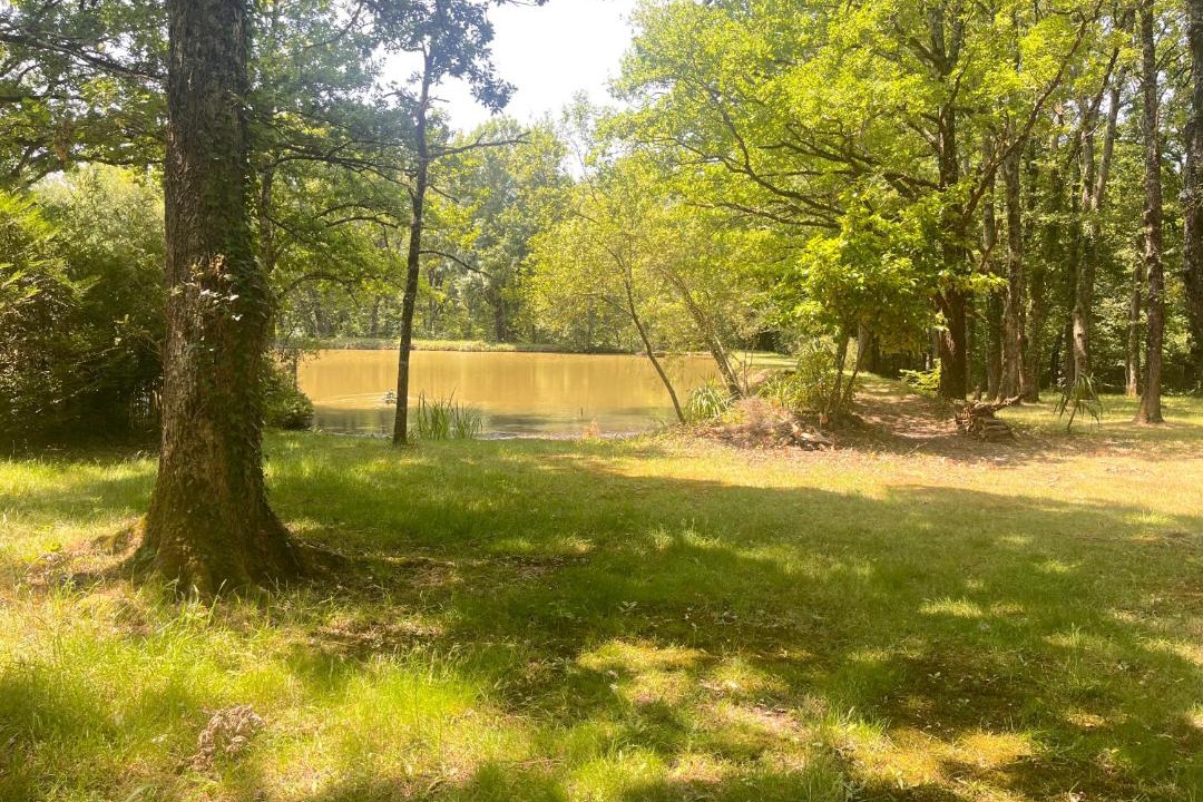 Photo of Others in Mosnay