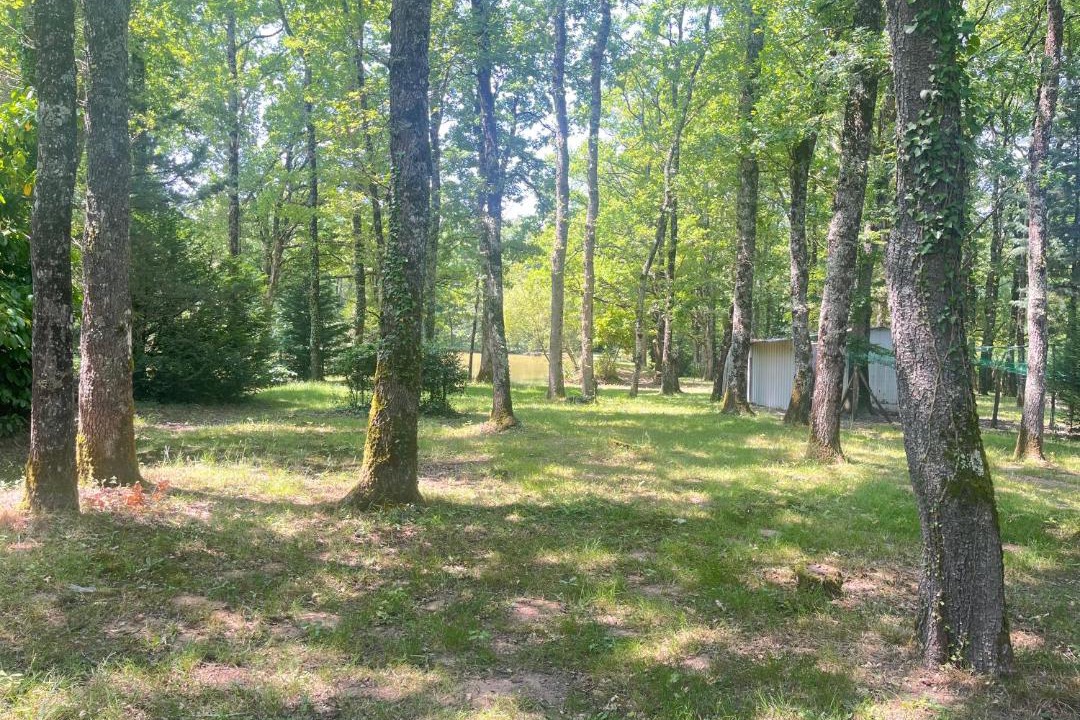 Photo of Others in Mosnay