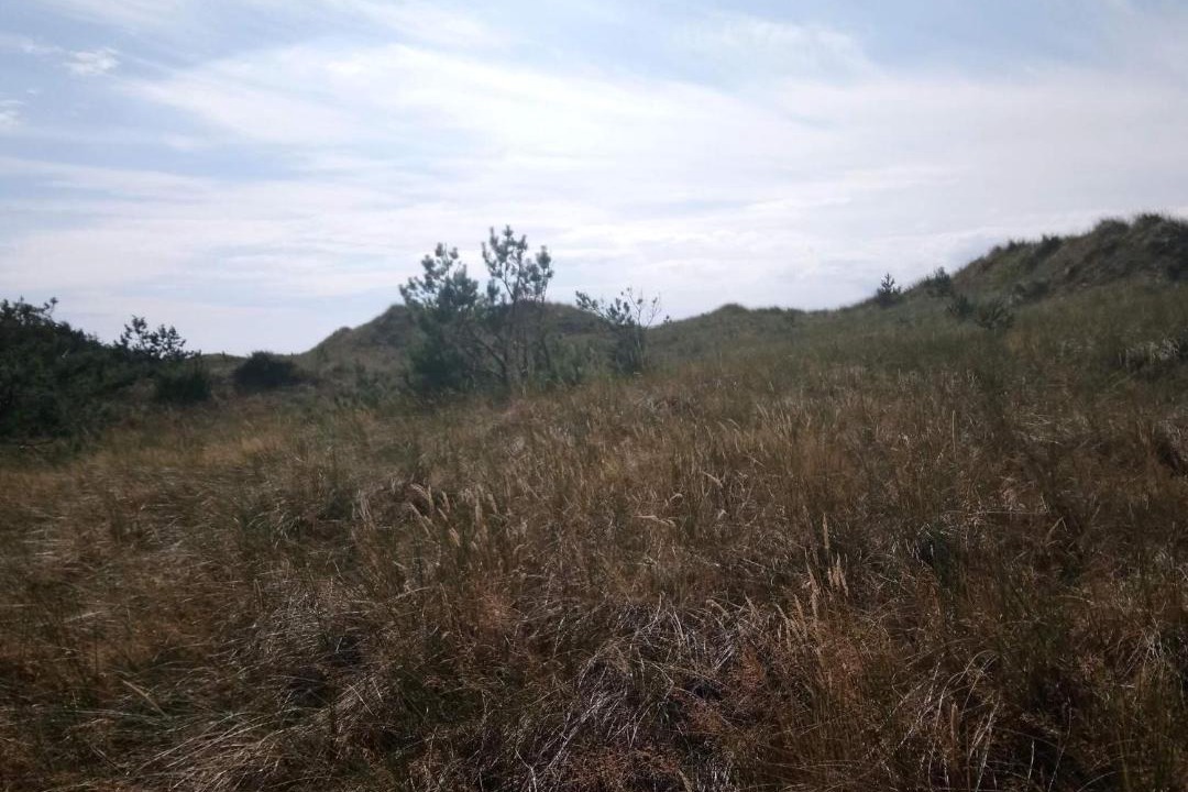 Photo of Others in Læsø