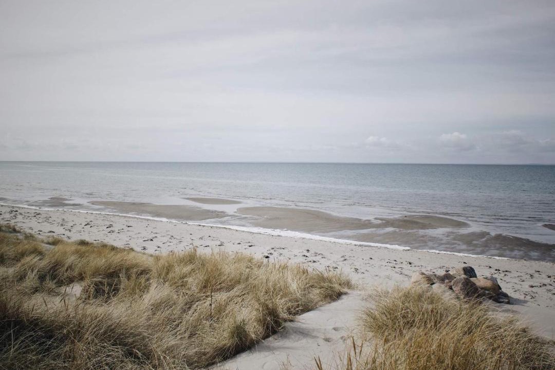 Photo of Others in Læsø