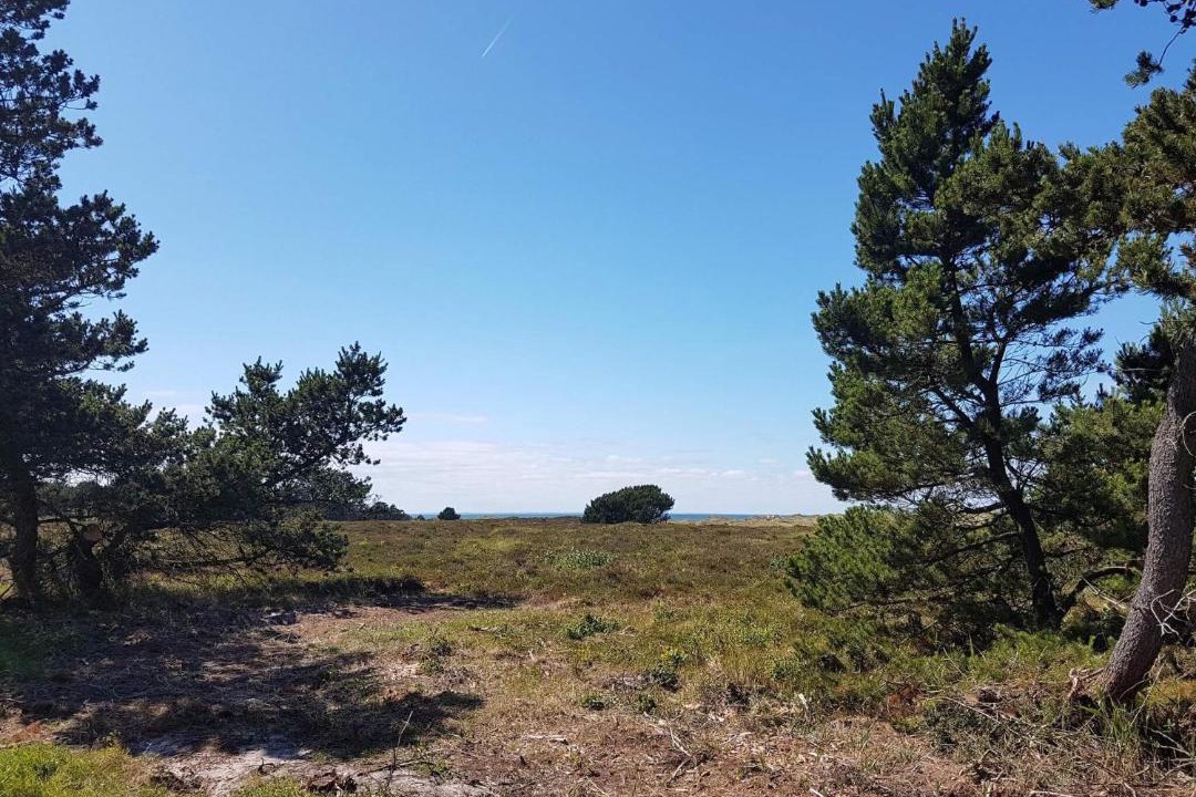 Photo of Others in Læsø