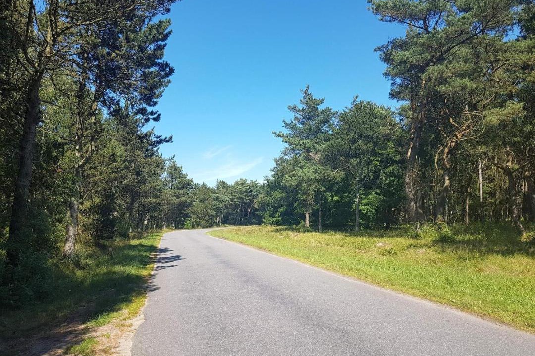 Photo of Others in Læsø