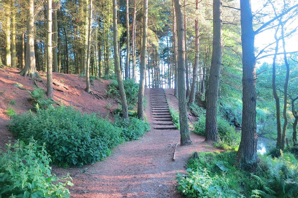 Photo of Others in Osmotherley