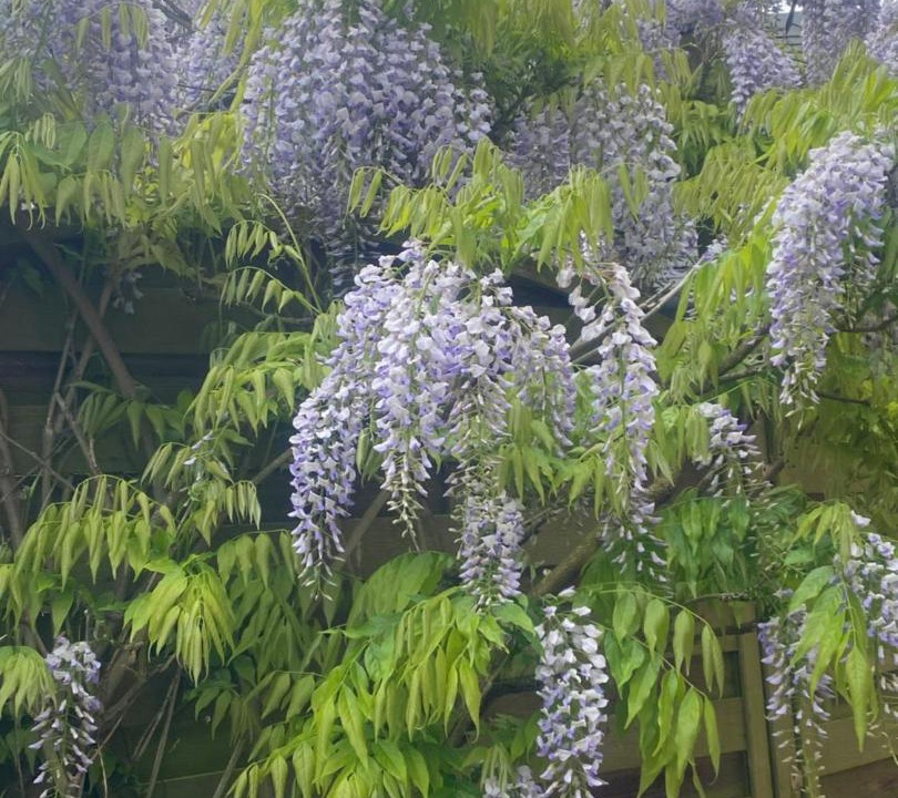 Photo of Others in Moyenneville