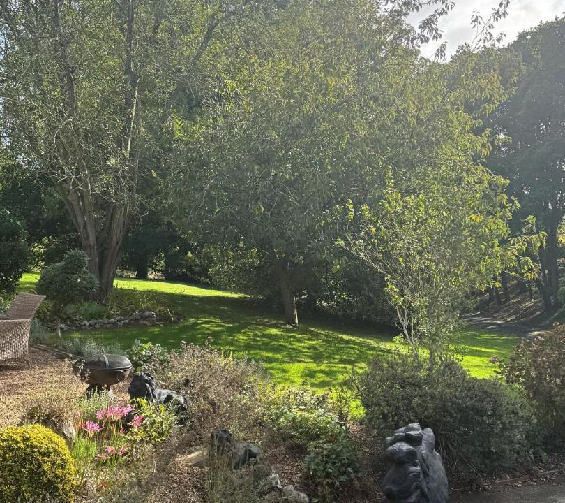 Photo of Outdoor in North Walsham