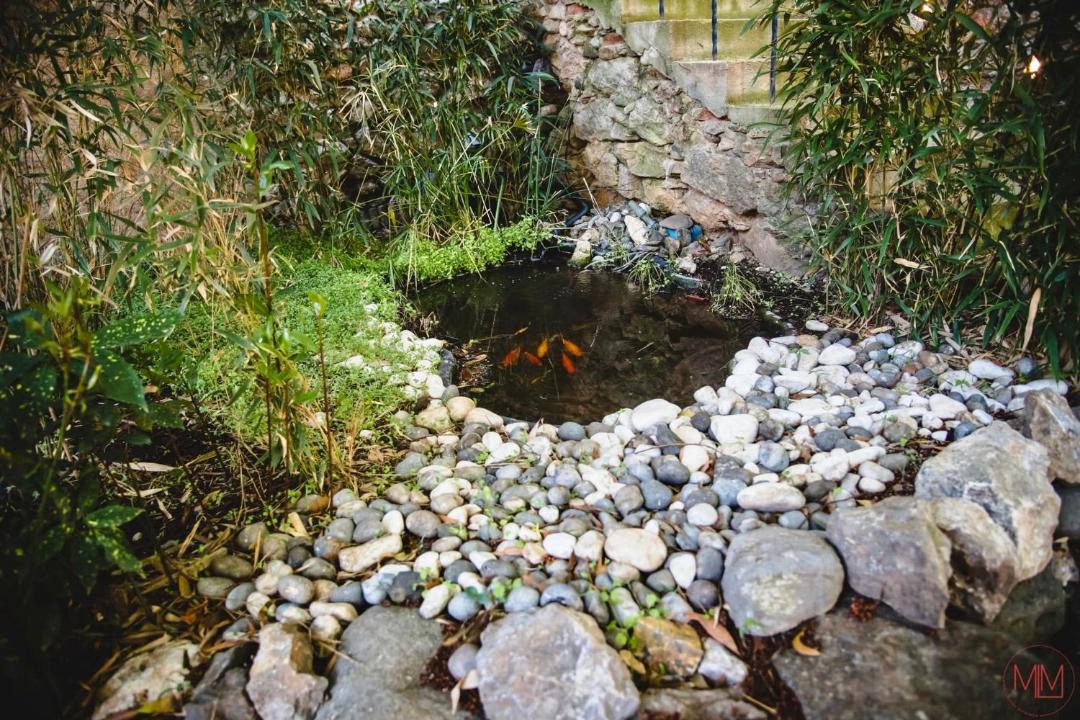 Photo of Others in Tautavel