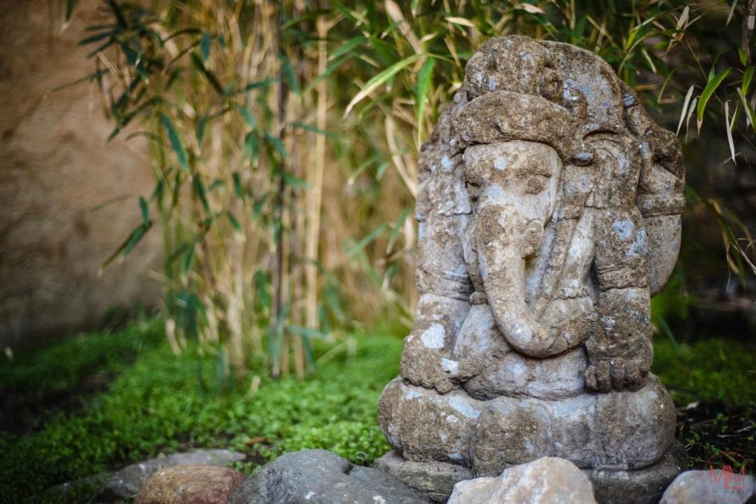 Photo of Others in Tautavel