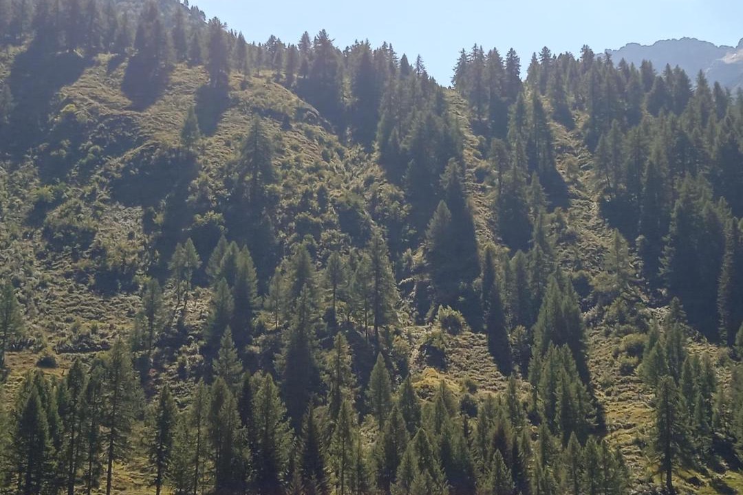 Photo of Others in Airolo