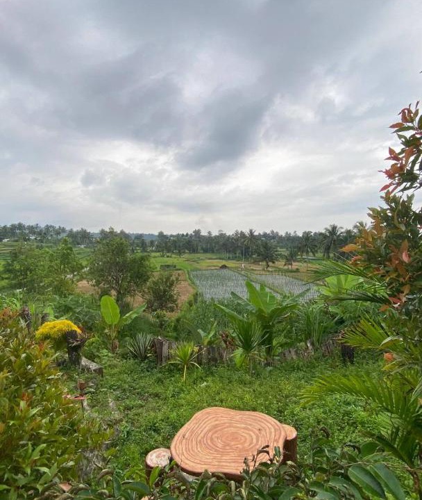 Photo of Others in Kecamatan Pringgasela