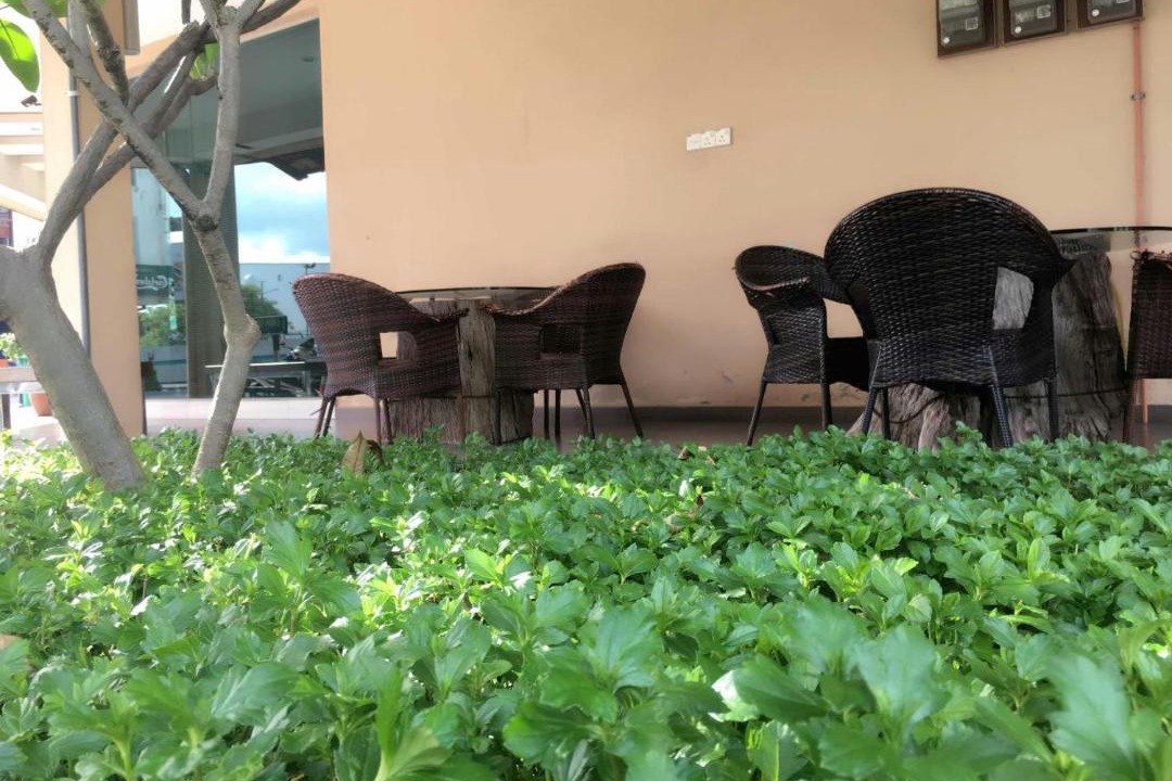 Photo of Others in Benggali