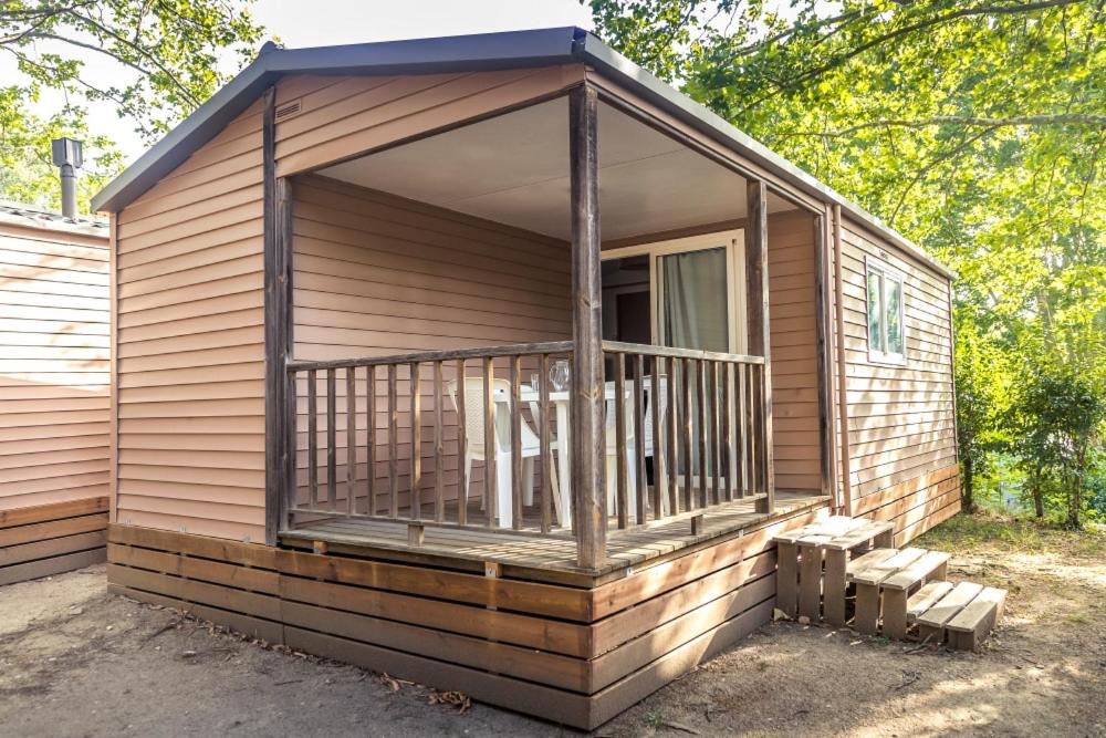 Photo of Others in Vinca