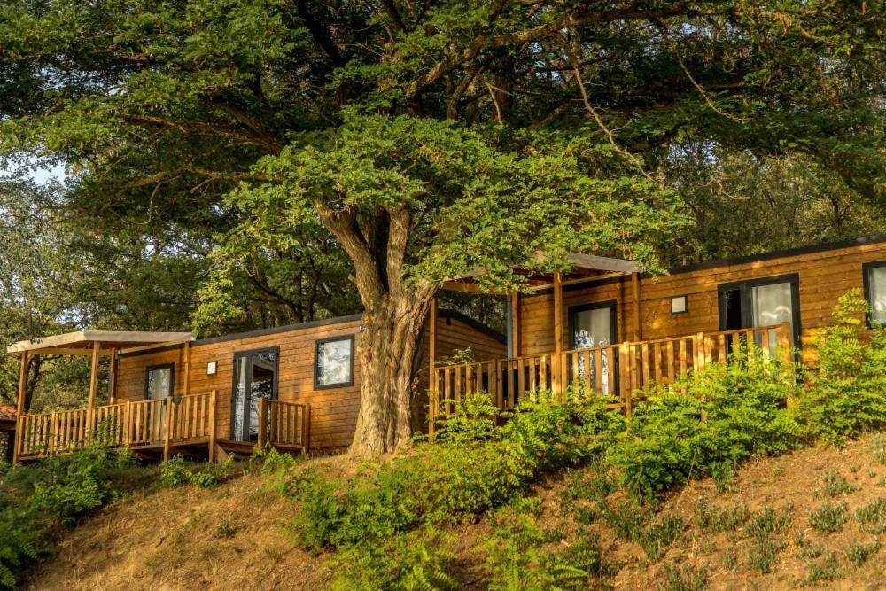 Photo of Others in Vinca