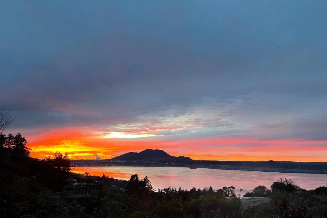 Photo of Others in Acacia Bay