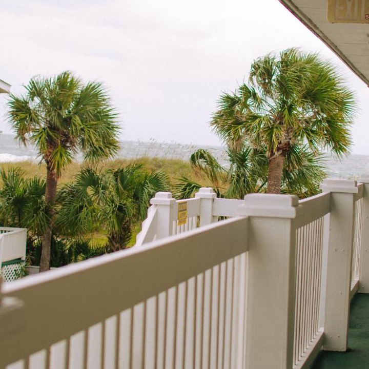 Photo of Others in North Carolina Coast